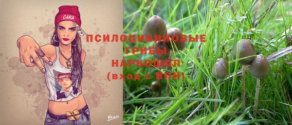 прущий лед Киреевск