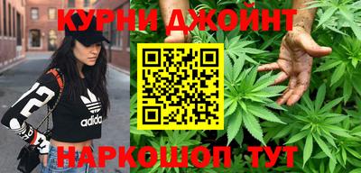 дмт Новозыбков