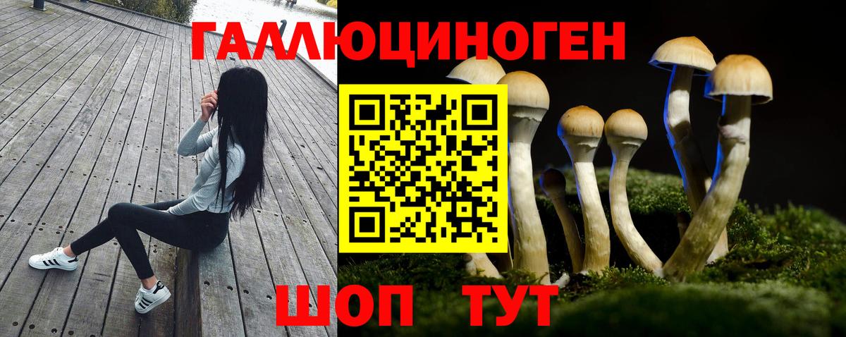 Псилоцибиновые грибы Magic Shrooms Рассказово