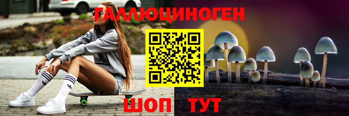 купить   Псилоцибиновые грибы GOLDEN TEACHER  Вход с VPN  Рассказово 